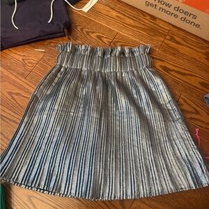 Zara Shimmering Silver Pleated Skirt